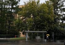 По данным регионального ГУ МЧС, 8 августа в Ленобласти прогнозируют облачную с прояснениями погоду. Ночью местами, а днем в большинстве районов ожидаются кратковременные дожди. Утром и днем в отдельных районах возможны грозы.