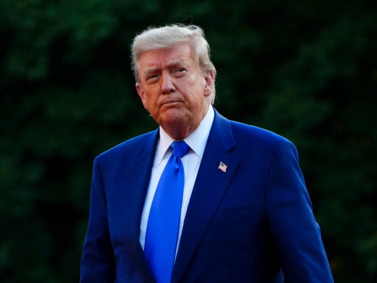 Bloomberg: Трамп допустил, что Путин может быть готов к обмену территориями