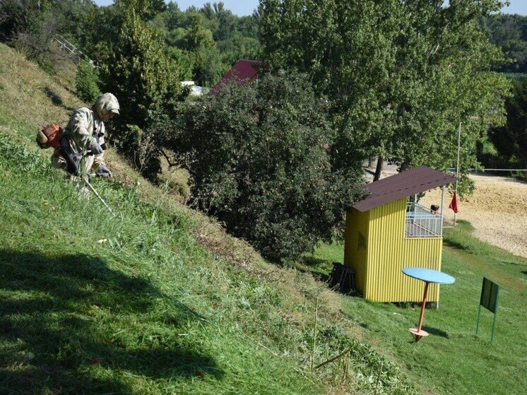 В Тамбове косят траву на Набережной от Уборевича до Сочи