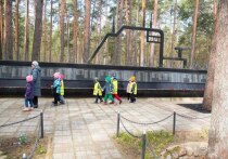 Взрослых и маленьких жителей Соснового Бора приглашают посетить экскурсию по мемориалу «Защитники Отечества» 9 августа – в День воинской славы России. Сообщили в пресс-службе администрации района.