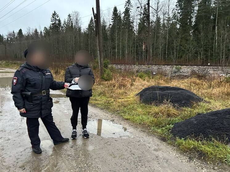 В Ленобласти осудят женщину за покушение на сбыт крупной партии наркотиков