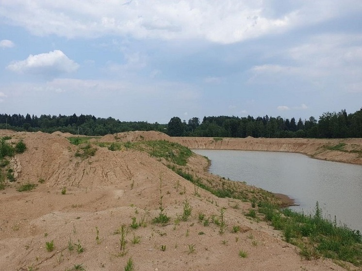 В Подмосковье владельцу участка пригрозили штрафом за незаконные пруды
