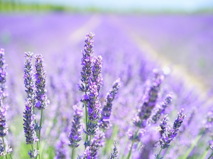 Калужане немного вздохнут от жары