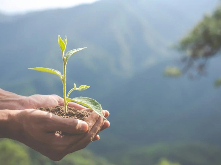 Экопроекты ДНР и Херсонской области победили в конкурсе президентских грантов