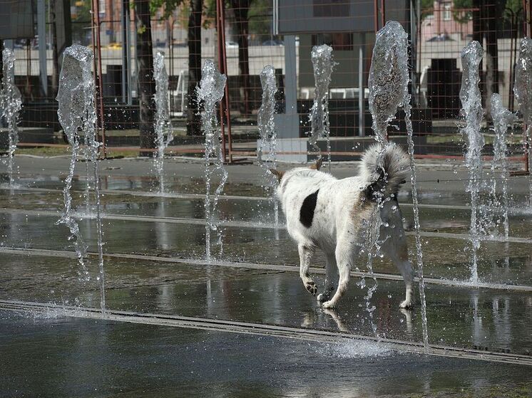 Климатолог Карнаухов: в ближайшие годы в Москву может прийти 45-градусная жара