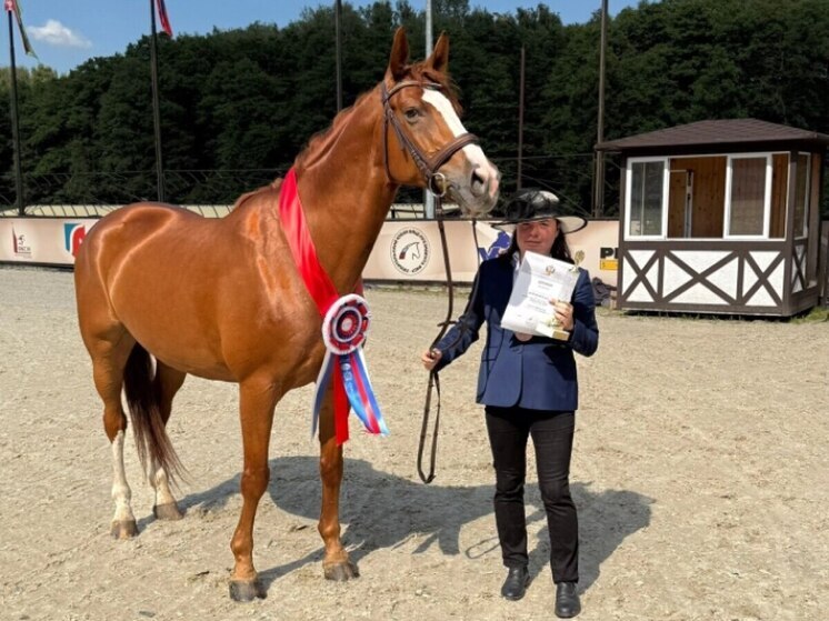 Джедликс и его наездница привезли серебро в Калугу