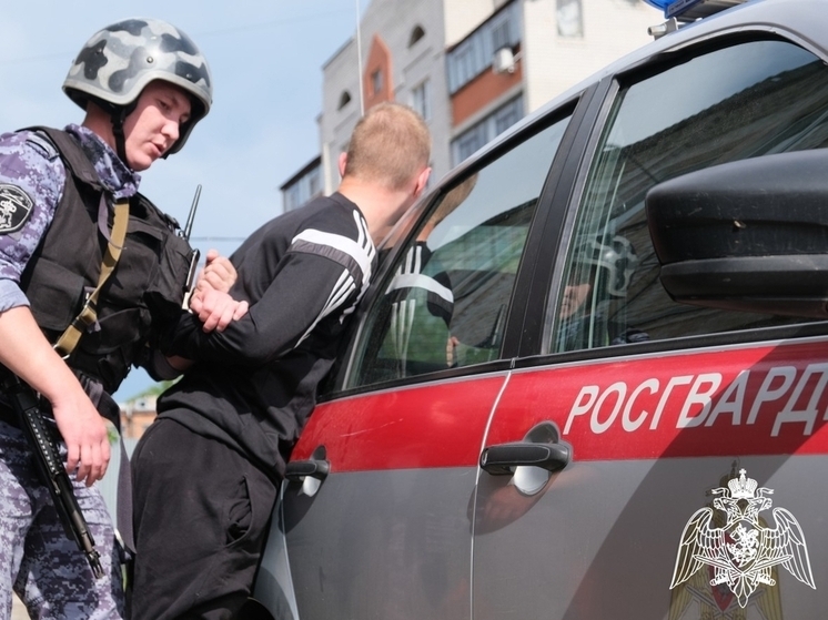 В Курске росгвардейцы задержали пьяного водителя после погони