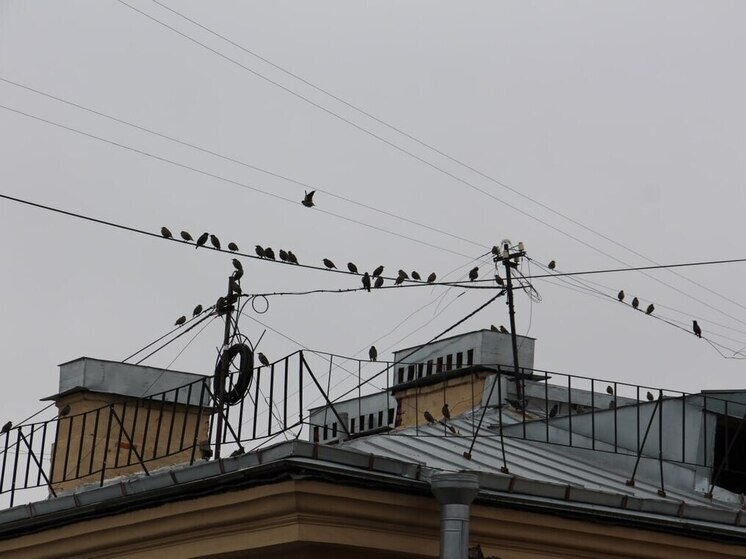 Министр ЖКХ Виноградов проверил у жителей Хакасии знание закона