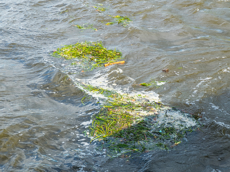 Наводнения разрушили десятки домов в афганской провинции Хост, есть жертвы