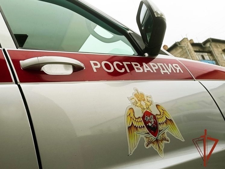 В Абакане посетитель аптеки помог задержать вора-карманника