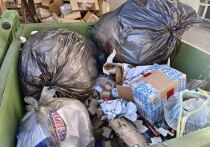 В Алтайском крае и еще в 18 субъектах России обновляют нормативы накопления твердых коммунальных отходов (ТКО). Для этого региональные операторы начали измерять количество реального мусора, сообщают в пресс-службе Российского экологического оператора (РЭО). 