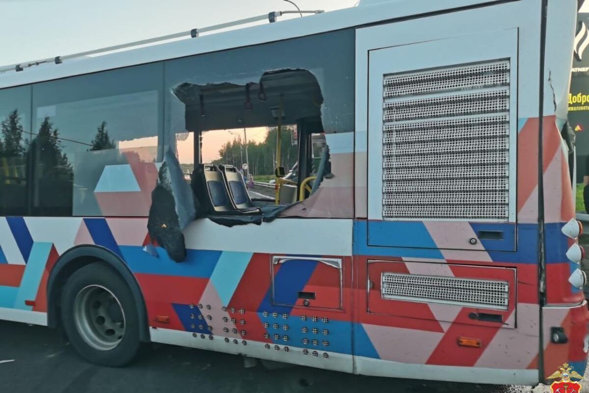 В Ленобласти завели два уголовных дела после ДТП с автобусом на трассе