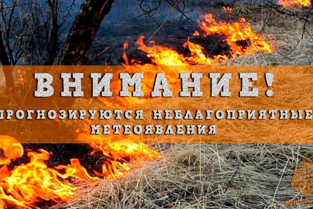 Нижегородцев предупредили о сохранении запрета на посещение лесов