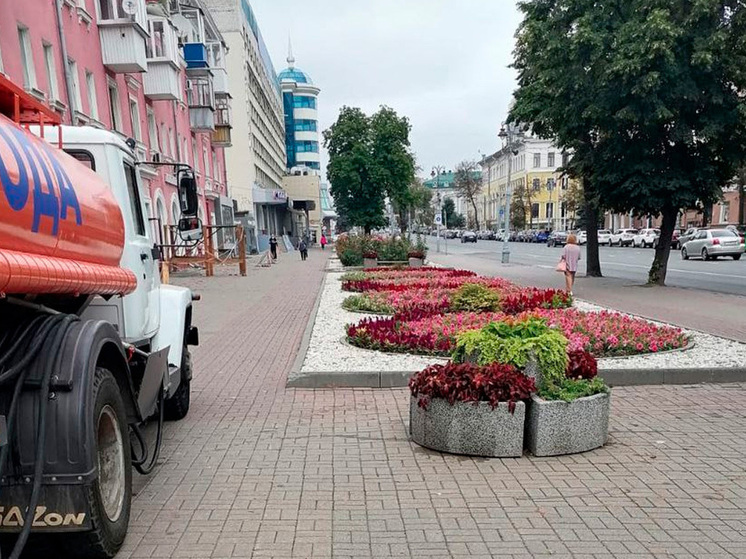 Курск расцвете благодаря 1500 новых роз