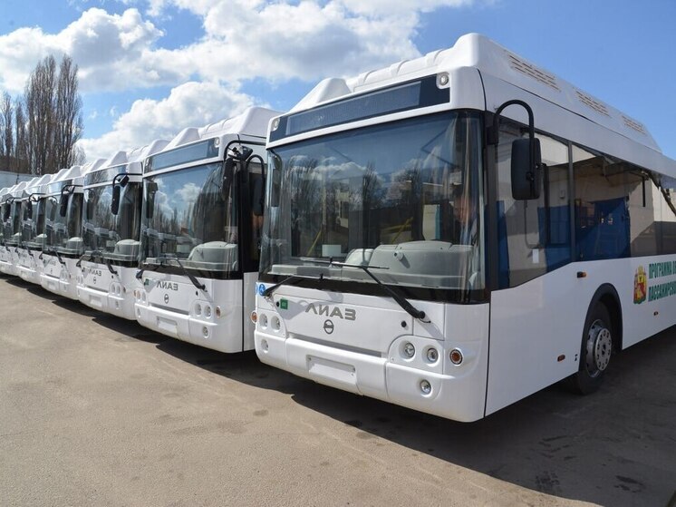 В Воронеж до конца 2025 года поступят 330 новых комфортабельных автобусов