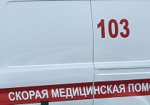 Выяснились подробности страшной автоаварии, в которой погибли двое взрослых и полуторамесячный младенец, в Каширском городском округе Подмосковья вечером в четверг