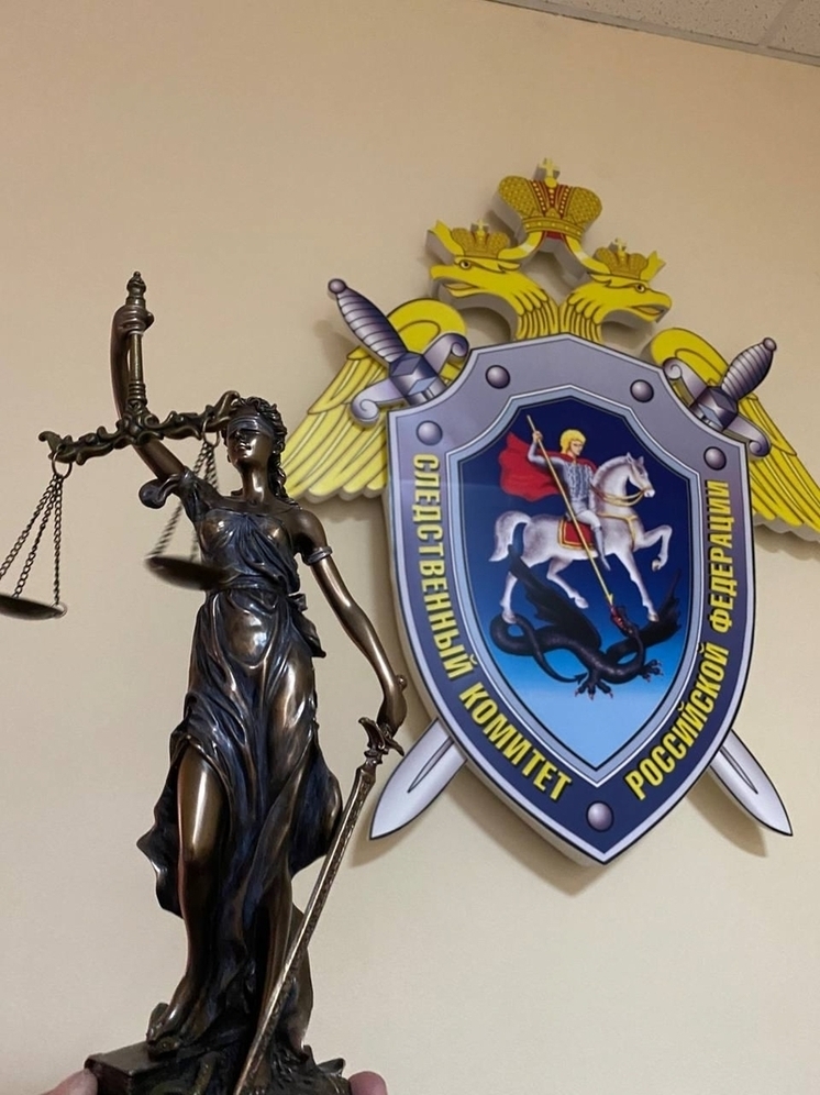 За преступления в сфере незаконного сбыта наркотиков будут судить жительницу Орловской области