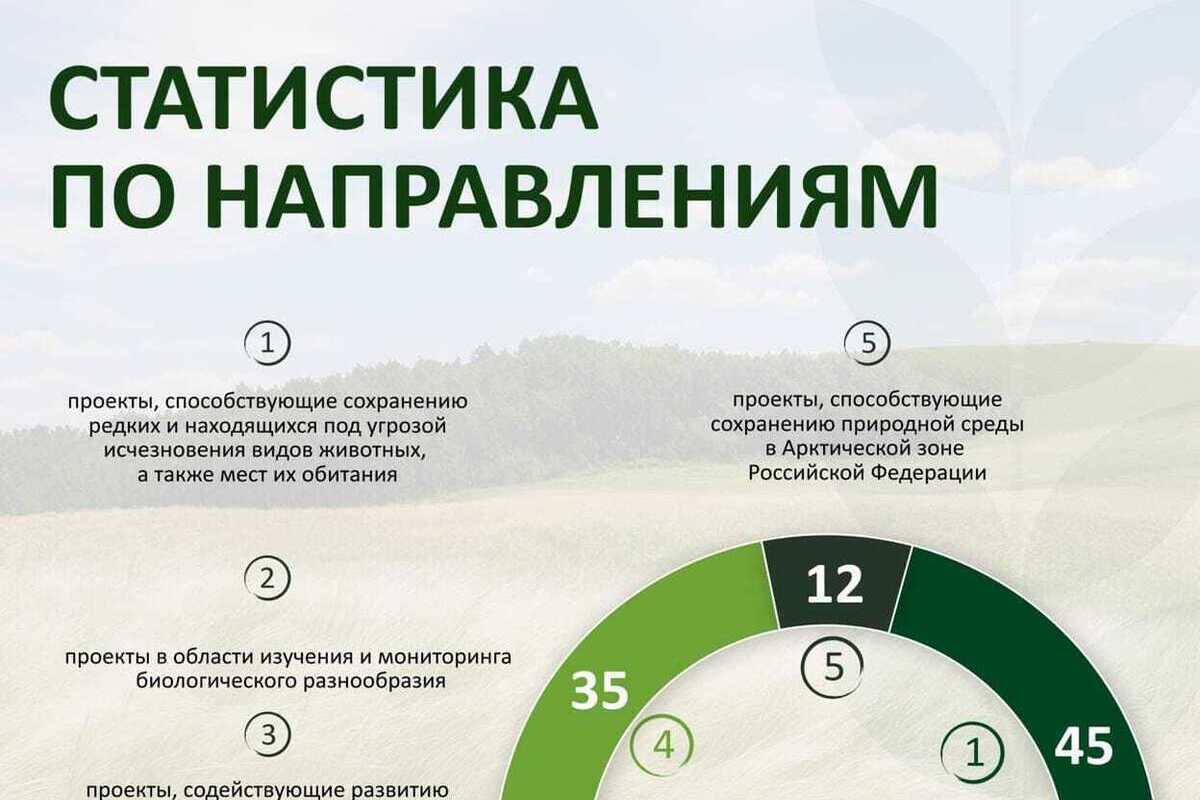 Пять экопроектов Башкирии получат более 30 млн рублей