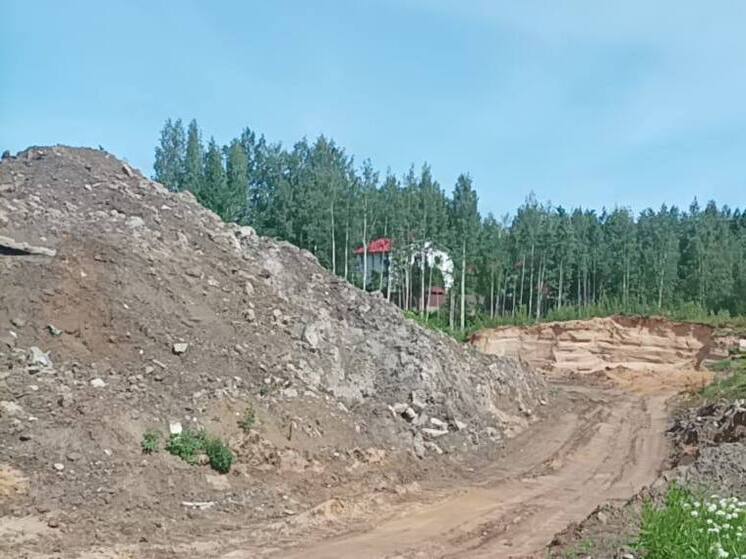 В Колтушском поселении пресекли несанкционированную свалку
