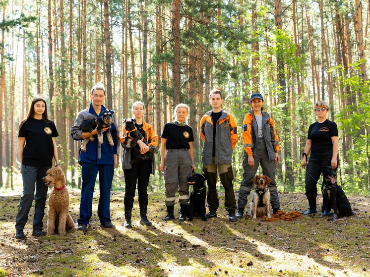Волонтеры «ЛизаАлерт» в Томске вернули домой 230 человек в текущем году
