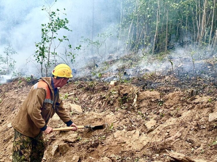 В Бурятии за сутки выявили два лесных пожара