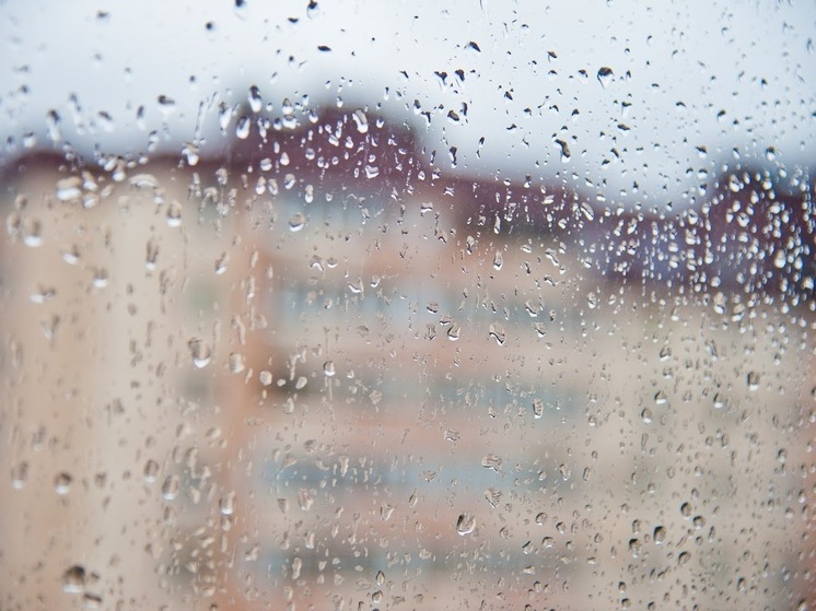 Дожди и ветер прогнозируются в Волгоградской области 9 августа