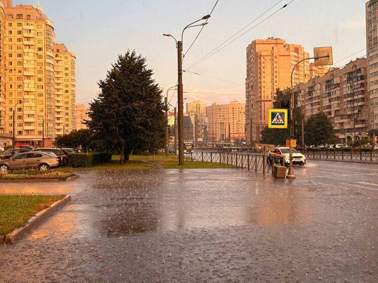 Петербуржцев предупредили об ухудшении погодных условий