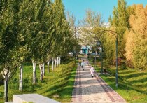 Последний месяц лета полноценно вступил в свои права, поэтому людям необходимо продолжить укреплять иммунитет и начать подготовку к дождливым осенним и холодным зимним дня