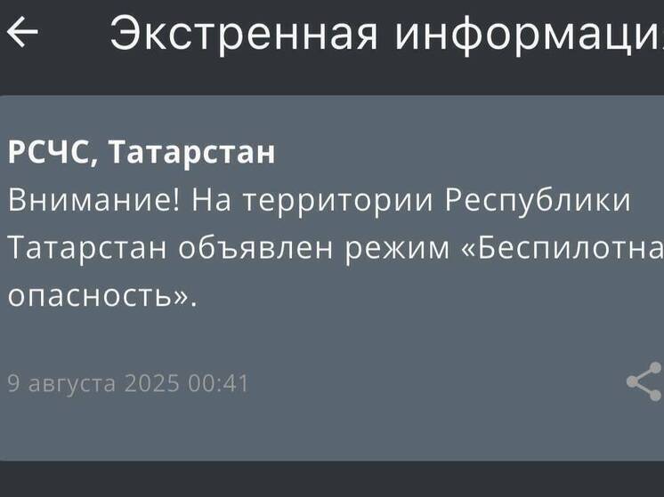 В Татарстане объявили ночью режим беспилотной опасности