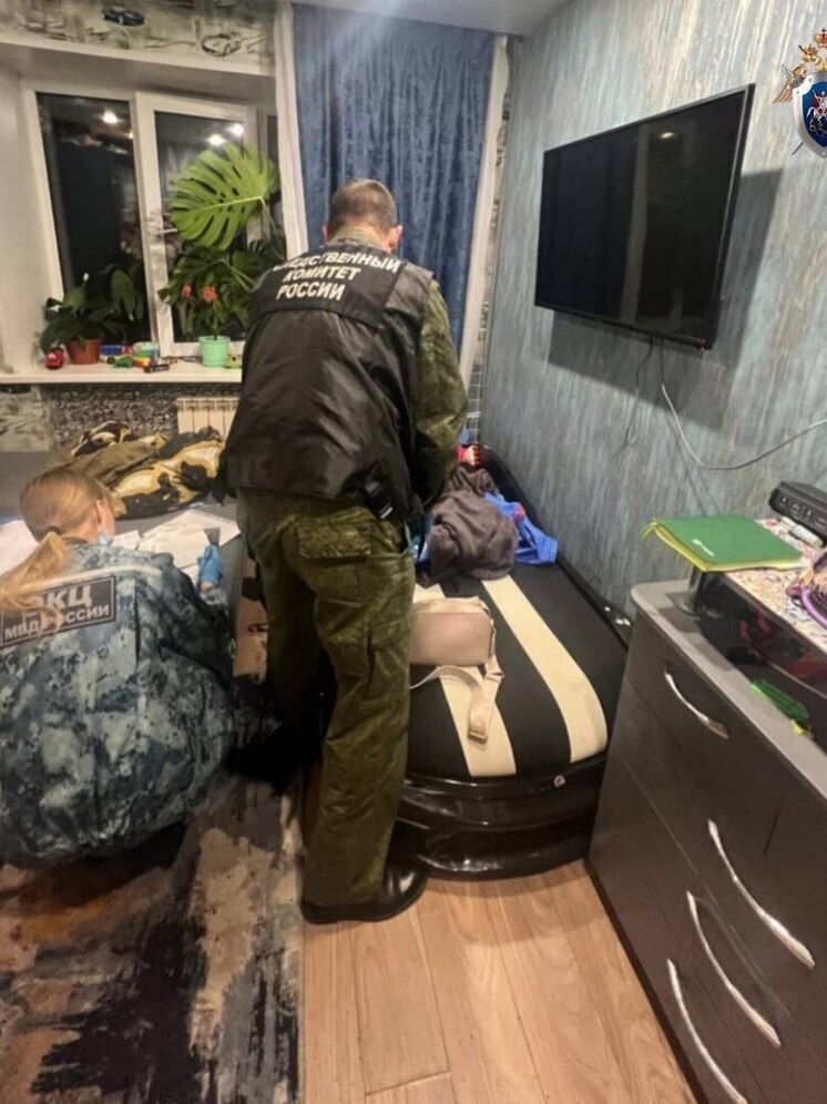 В Красноярске мать пыталась убить своего трёхлетнего сына