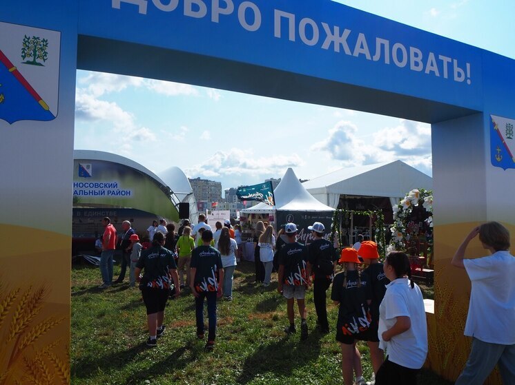 На чемпионате по пахоте 45 агроклассников стали агрокспедиторами
