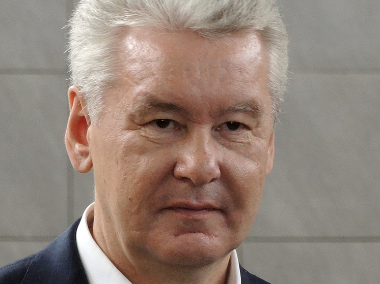 Собянин: уничтожен еще один летевший к Москве БПЛА