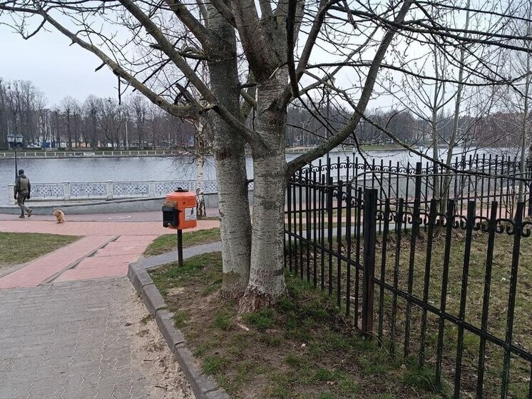 В Калининграде к концу августа закончат реконструкцию скейтпарка у Верхнего озера