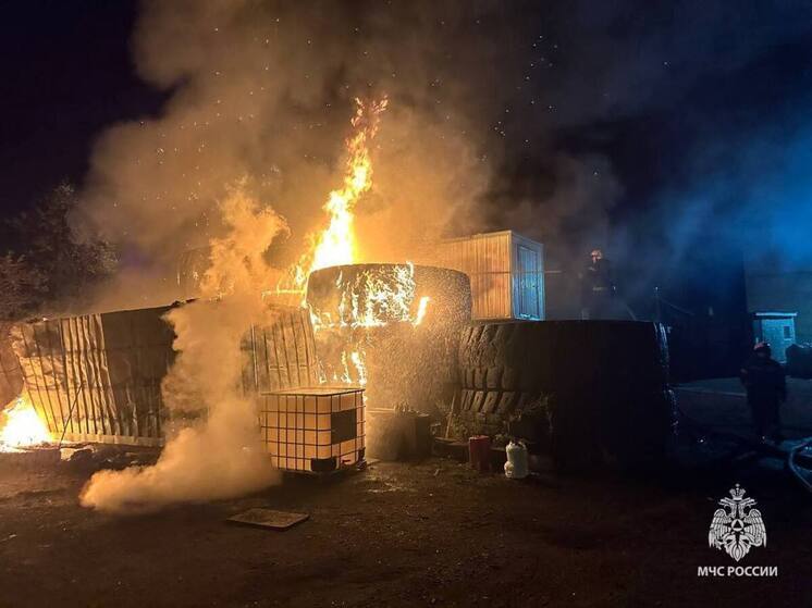 Ремонт бензоинструмента привел к пожару и пострадавшему в Великом Новгороде