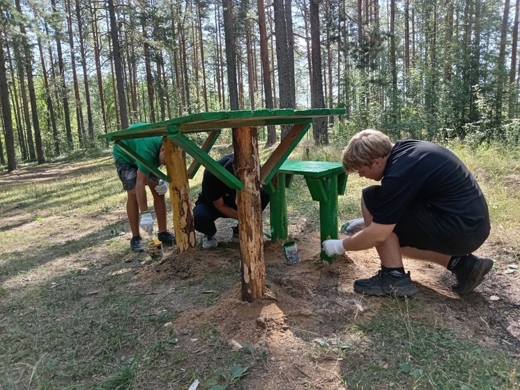 Лодейнопольские школьники освоили производство лесной мебели