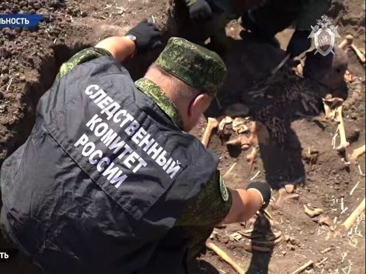 В Запорожской области найдены останки бойцов Красной армии