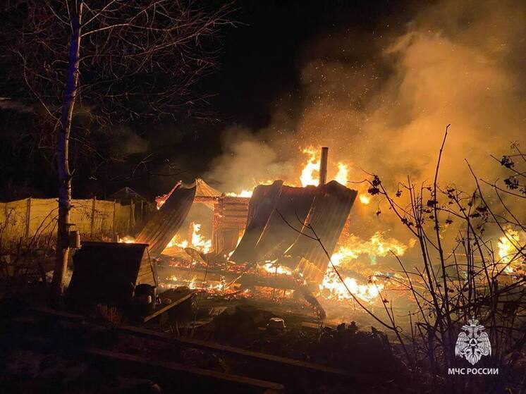 В Новгородской области произошло 70 пожаров в банях с начала года