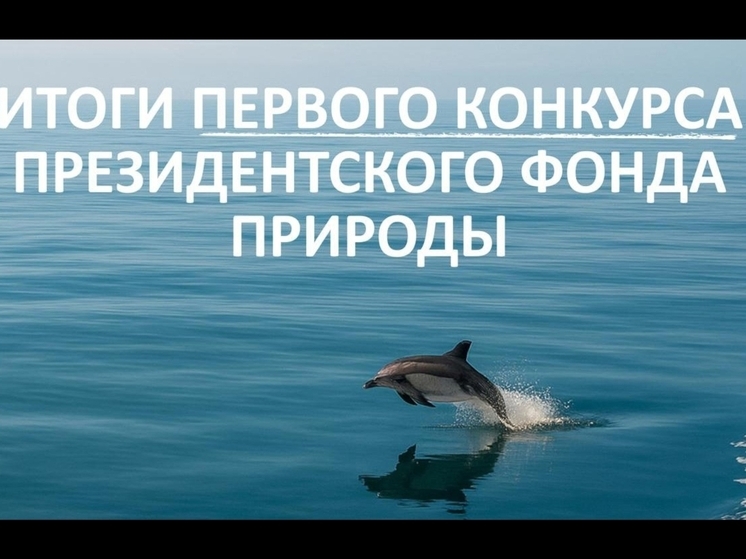Проекты Дирекции биологических ресурсов Якутии стали победителями конкурса Президентского фонда природы