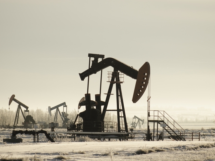 Новосибирские учёные разработали негорючий пластик для нефтегазовой отрасли
