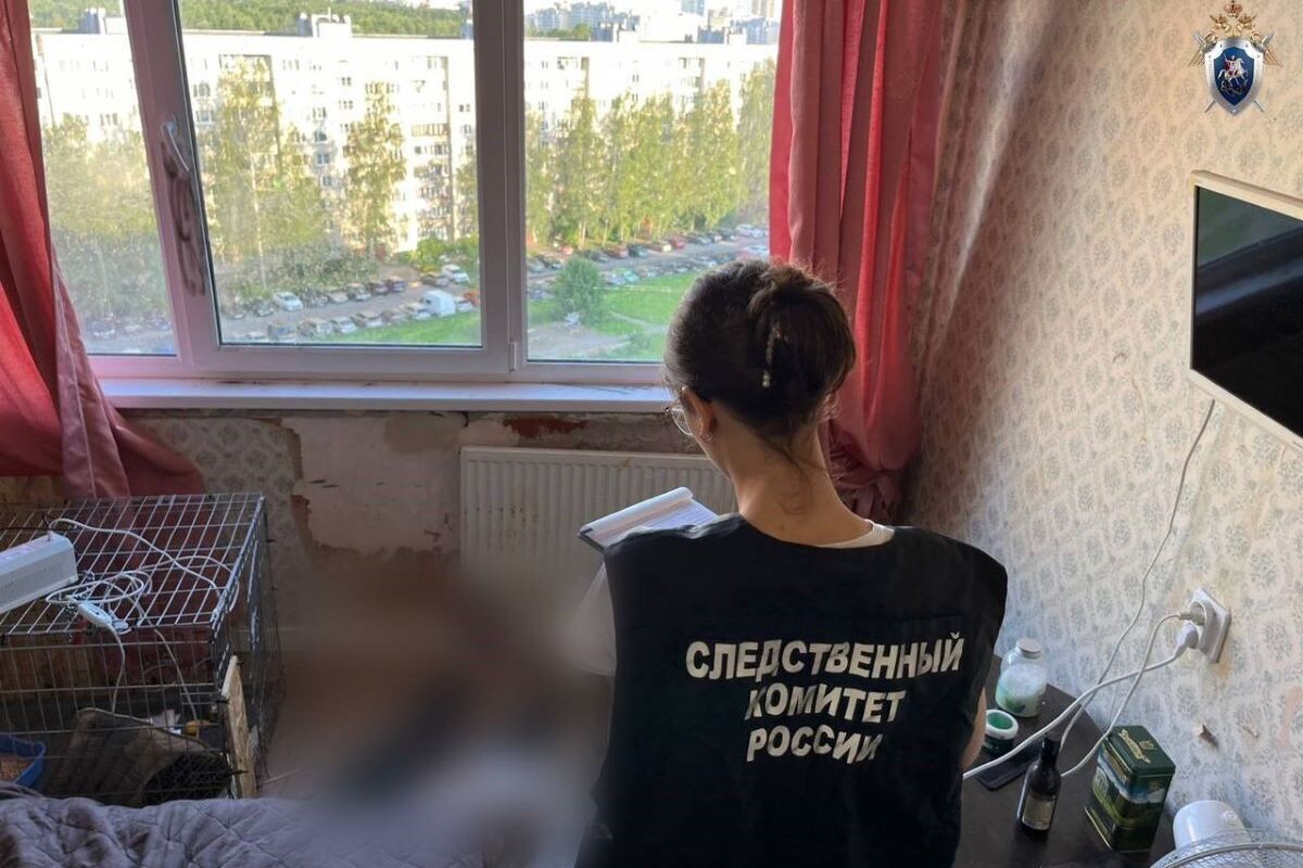 От полученных ранений 76-летняя пенсионерка скончалась на месте