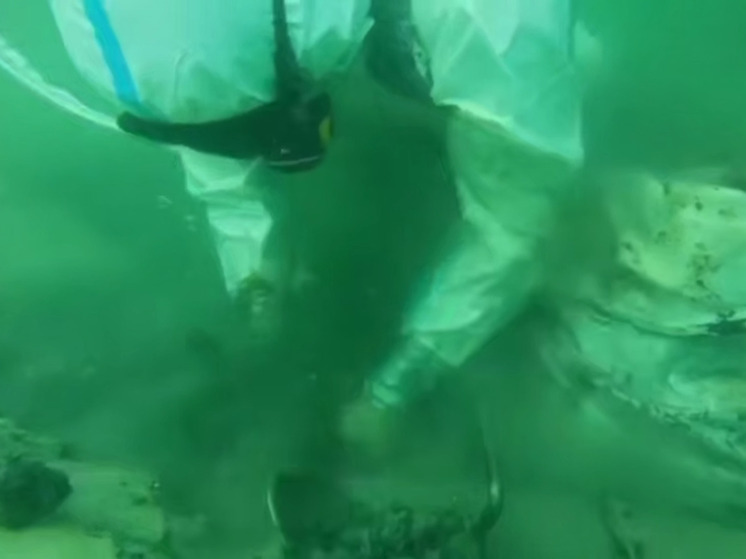 За 9 дней водолазы-спасатели подняли с морского дна в Анапе 821 мешок с мазутом