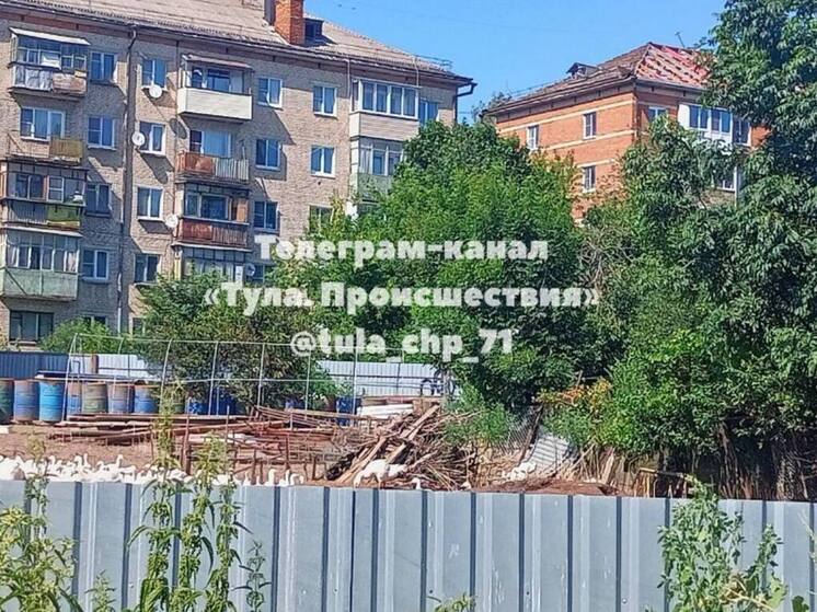 Туляки призвали разобраться с «утиной фермой» в центре городской застройки