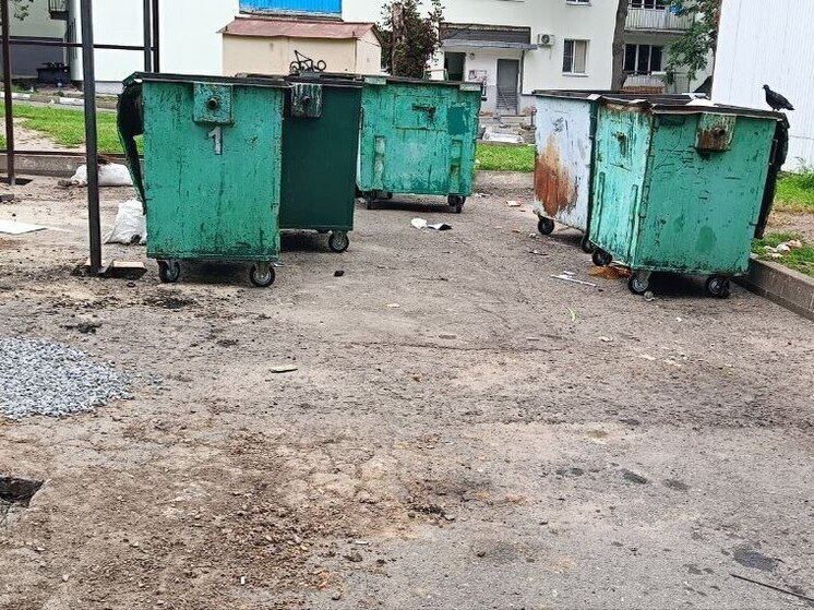 Устранение стихийной свалки и установка новых мусорных контейнеров запланировано в Горняцком районе Макеевки