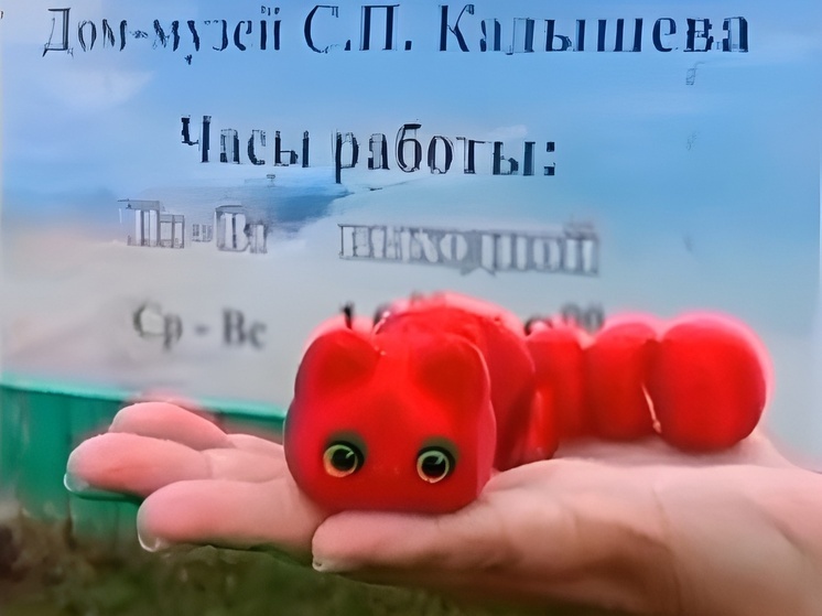 Потерянный котенок отправился в путешествие по Хакасии, чтобы найти хозяйку