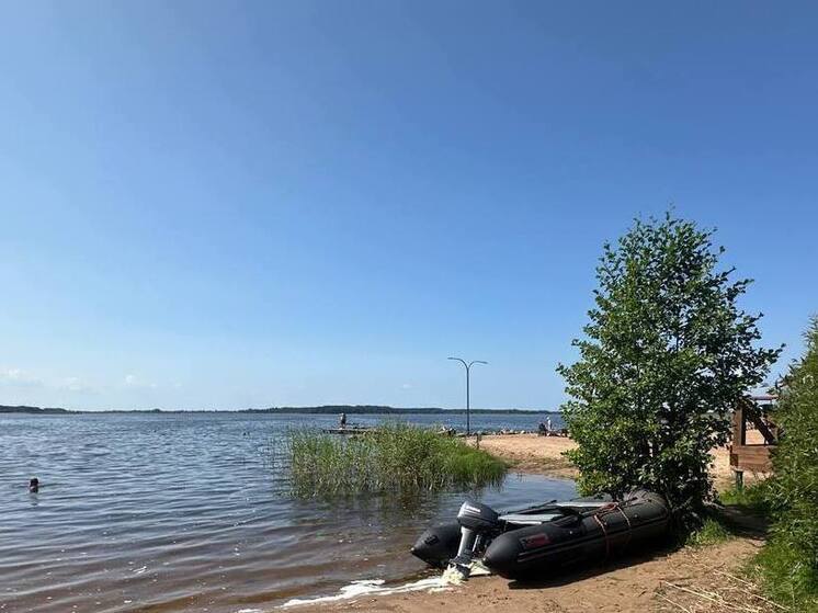 45-летний мужчина утонул в Гдовском районе