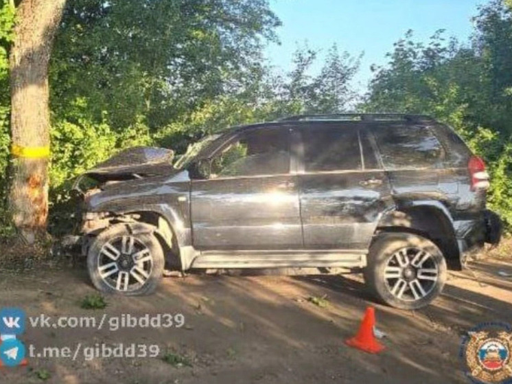 Калининградец на легковой машине врезался в придорожное дерево
