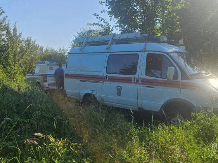 Калининградские спасатели нашли и вывели очередных потеряшек из леса