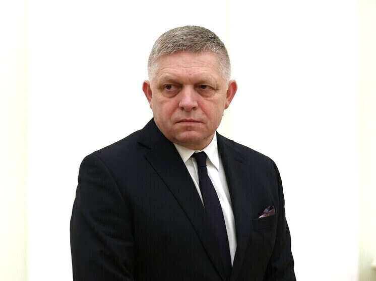 Фицо: киевский режим дорого заплатит за попытку ослабить позиции России