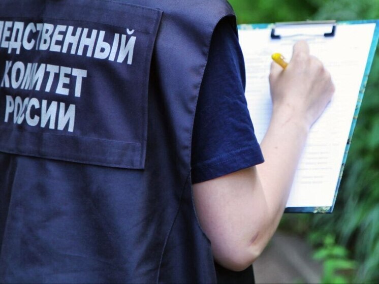 Девочка во время игры выпала из окна в Тверской области