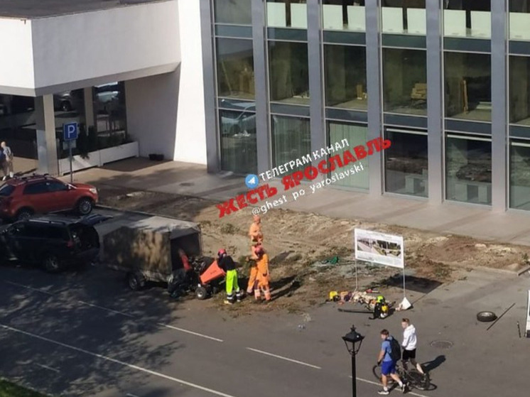 В Ярославле срубили красивые ели перед Речным Вокзалом